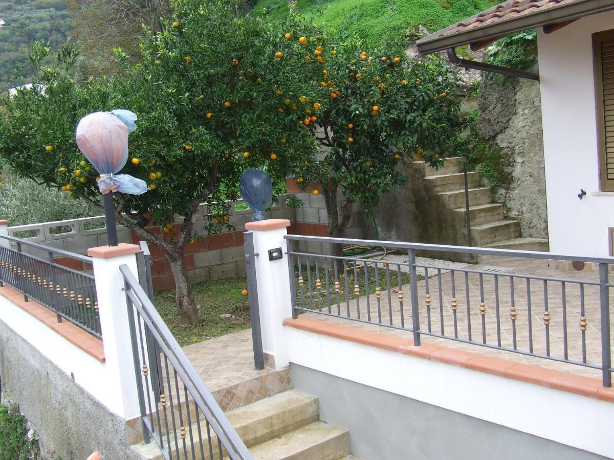 Relax Vista Eolie Daire Piraino Dış mekan fotoğraf